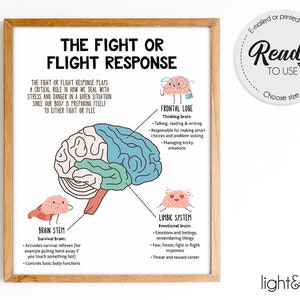The fight or flight response to the brain, Brain anatomy, Psychology, Therapy poster, Mental health poster, Counselor office decor, DBT