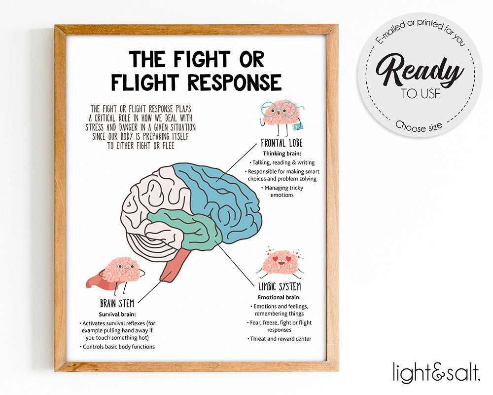 The fight or flight response to the brain, Brain anatomy, Psychology, Therapy poster, Mental health poster, Counselor office decor, DBT