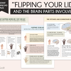 Understanding your Brain when you flip your lid, Mental health worksheets, Brain and Neuroscience Therapy, Psychoeducation Resources