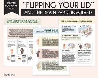 Understanding your Brain when you flip your lid, Mental health worksheets, Brain and Neuroscience Therapy, Psychoeducation Resources