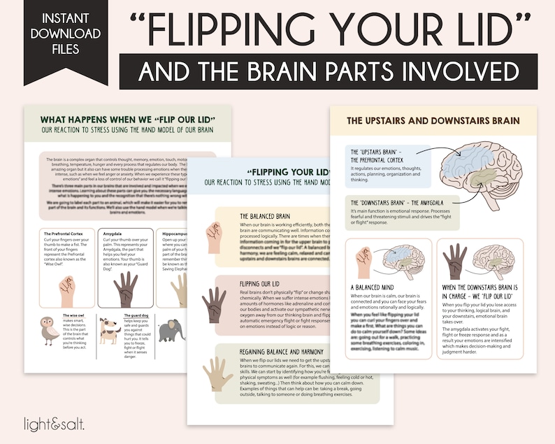 May include: A colorful infographic explaining the concept of "flipping your lid" and how it relates to the brain. The infographic uses hand diagrams and illustrations of a brain to show the different parts of the brain and how they react to stress. The text includes the phrases "The Balanced Brain", "Flipping Our Lid", and "Regaining Balance and Harmony".