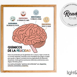 Happiness Chemicals, cartel español, Decoración de oficina de terapia, Productos químicos felices, Quimicos de la felicidad, cartel de salud mental, cartel Mindful