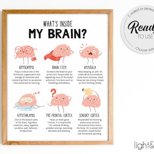 Brain poster, Psychology poster, the human brain anatomy poster, Mental health poster, Therapy Office Decor, Counselor office decor, DBT