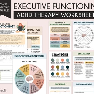 Executive functioning worksheets, ADHD Worksheets, Executive Dysfunction Workbook, Anxiety, depression, organization, coping skills tools