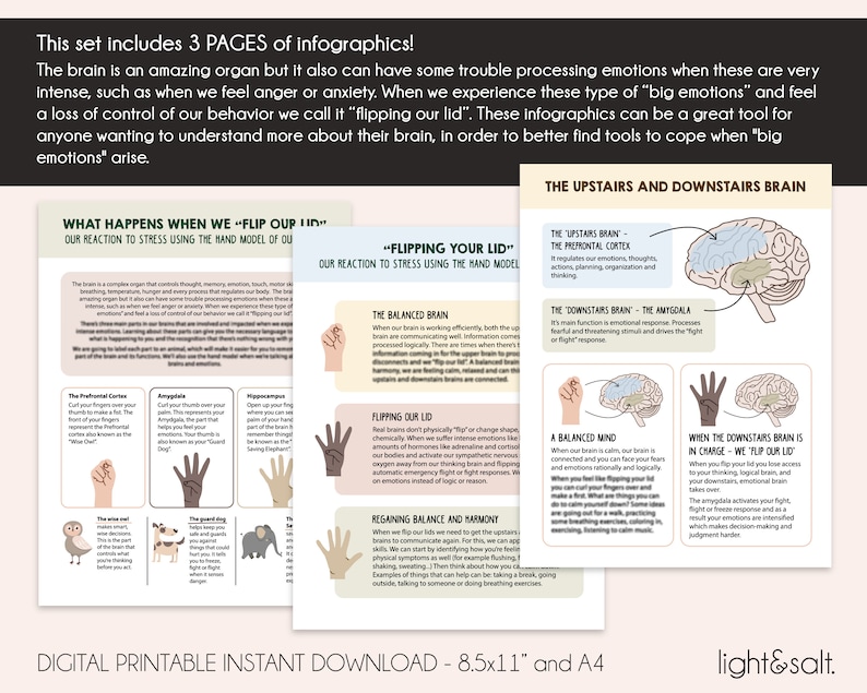 May include: Three printable infographics about the brain and how to manage stress. The first infographic shows a hand model of the brain and how it reacts to stress. The second infographic shows a hand model of the brain and how to "flip your lid". The third infographic shows a diagram of the brain and how the upstairs and downstairs brain work together.