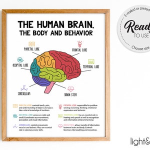 The human brain poster, Brain anatomy & psychology, Mental health poster, Therapy Office Decor, CBT, Counselor office decor
