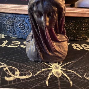 The Veiled Lady