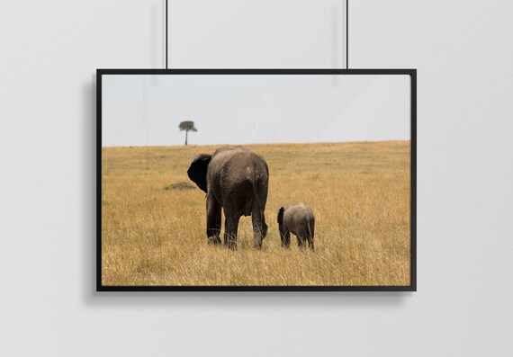 Mother And Baby Elephant Walking Away In Nairobi Kenya Etsy