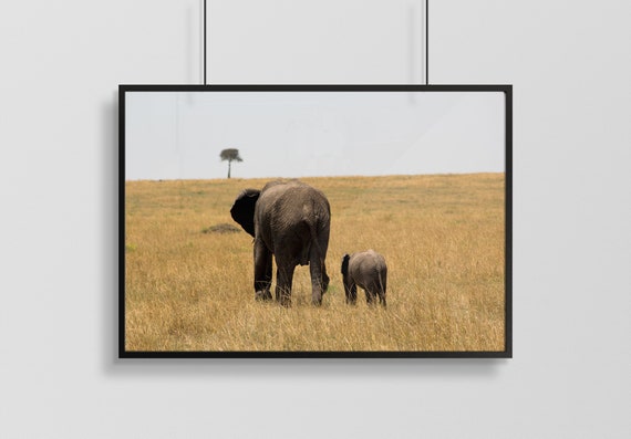 Mother And Baby Elephant Walking Away In Nairobi Kenya Etsy Mother And Baby Elephant Walking Away In Nairobi Kenya Etsy