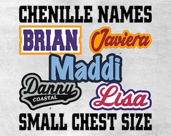Puede incluir: Una colección de nombres de chenilla para planchar en diferentes colores y estilos, incluyendo Brian, Javiera, Maddi, Danny Coastal y Lisa. El texto "SMALL CHEST SIZE" está impreso debajo de los nombres.