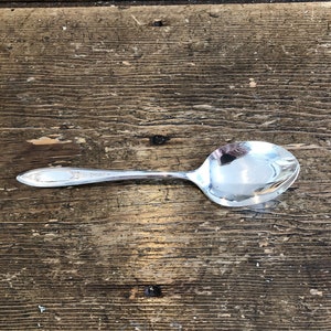 May include: A silver spoon with a reflective bowl and a decorative handle. The spoon is set against a rustic, weathered wooden surface, showcasing its polished finish and elegant design. Ideal for serving or dining.