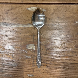 Può includere: Un cucchiaino d'argento con un design elaborato sul manico. Il cucchiaino è su una superficie di legno.