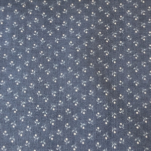 Tissu de coton bleu et blanc