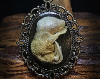 Mummified Baby Mouse pendant - Vulture Culture - Unique gift - Curiosity - Oddity - Taxidermy - Naturalist gift - Goth jewelry