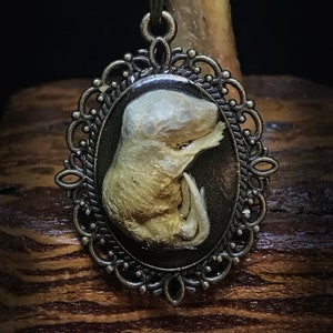 May include: A small, white, taxidermied mouse is encased in a bronze oval frame with a decorative filigree design. The frame is hanging from a brown cord.