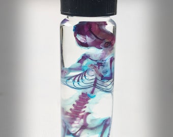 Large Diaphonized Mouse  Wet specimen in a jar - Curiosity - Steampunk décor -Unique  Gift  - Cruelty free - Oddity