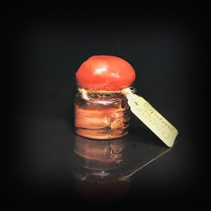 May include: A small glass jar with a red, rounded top, secured with twine. The jar contains a preserved specimen. A small tag reads "Squirrel (Scirpus)". The background is black.