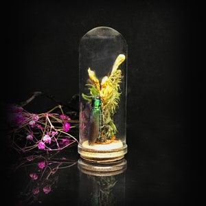 Victorian décor - Zombie Mushrooms and a Jewel bug in a miniature glass dome- Naturalist gift - Miniature curio collection - homeschooling