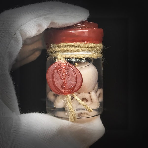 Lindo pulpo bebé rojo en un frasco vintage - Curiosidad - Decoración Steampunk - Cthulhu - Cruelty Free - Oddity - Ejemplar húmedo