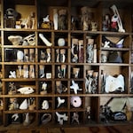 Bone Decor