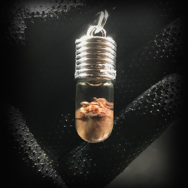 My Heart is Yours Pendant - Real rat heart in a glass vial - Oddity in a jar - Curiosity  Love token gift Witchcraft supply Young witch gift