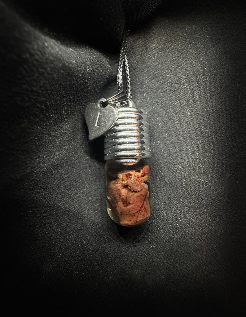 My Heart is Yours Pendant - Real rat heart in a glass vial - Oddity in a jar - Curiosity Love token gift Witchcraft supply Young witch gift image 4