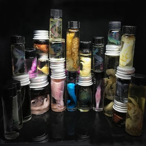 Rainbow Wet Specimens Personalized Mystery Gift set _ Extreme Edition Oddities box Ethically sourced Vulture culture Animals Insects organs