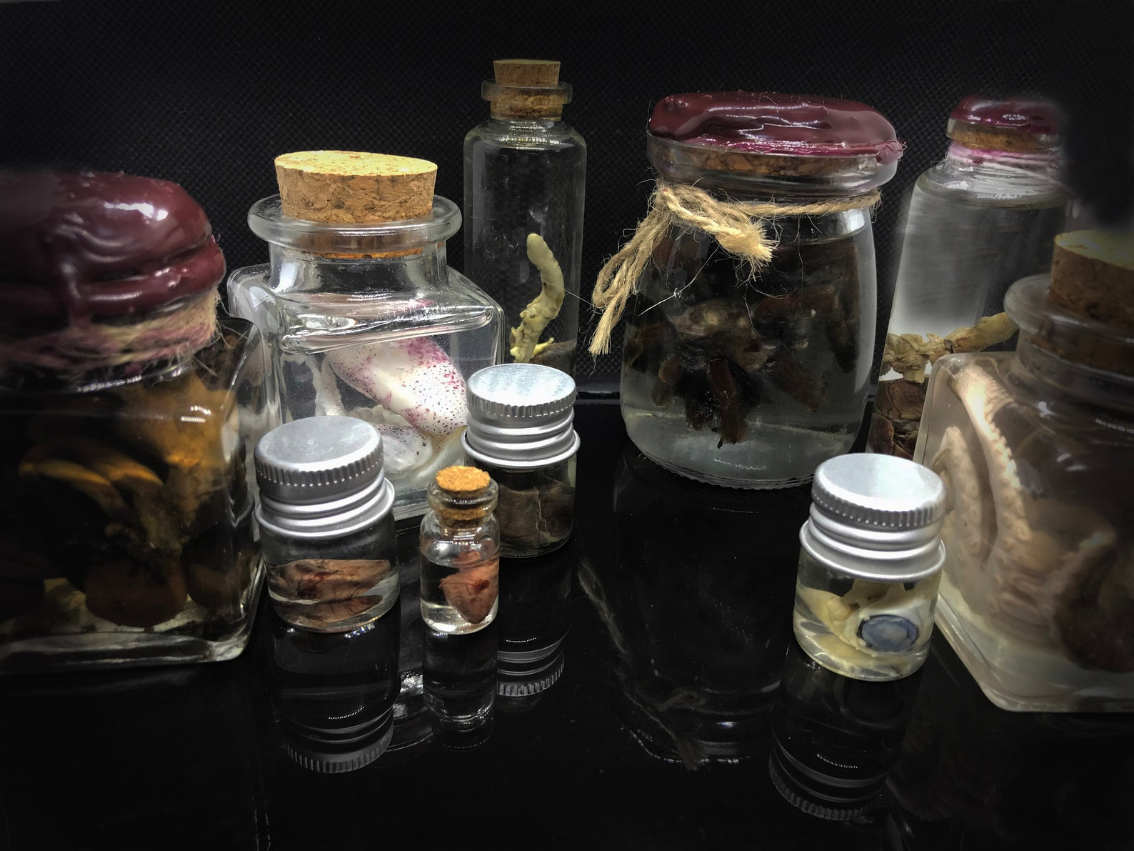 Mystery box wet specimens box oddity natural history Etsy