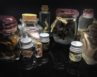 Oddities Wet specimen Personalized Gift box, natural history curiosities, vulture culture, homeschooling, bones, organs,  insects