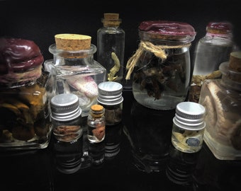 Oddities wet specimens Mystery box, natural history curio, vulture culture, homeschooling, bones, organs,  plants insects