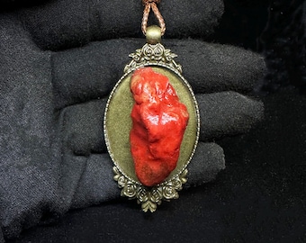 Oddity Curiosity Real Bloody Heart pendant - Anatomical heart -  Weird Witchy Valentine Anniversary Jewelry Gift
