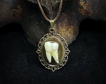 Halloween Pendant- Real Tooth in a vintage vibe charm - Weird Witchy Jewelry Accessories