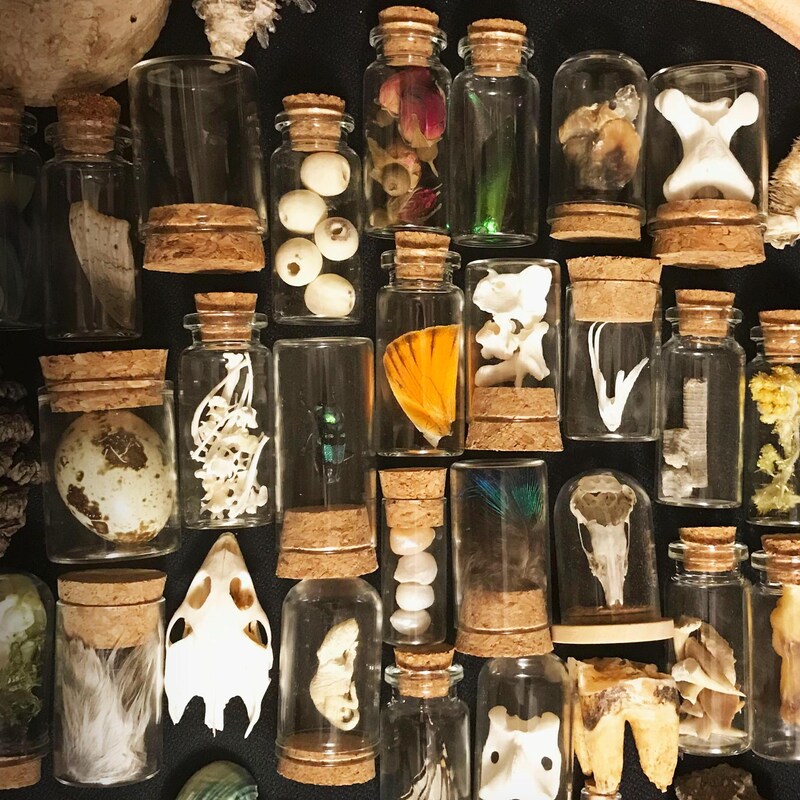 Oddities - Etsy