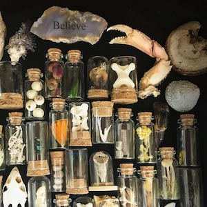 May include: A collection of small glass bottles filled with various natural items, including bones, feathers, and shells. The bottles have cork tops and are arranged on a black surface. The word "Believe" is written on a piece of stone in the top left corner of the image.