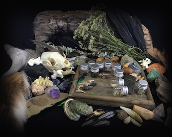 Natural History Oddities Personalized Mystery Gift bundle - Ethically sourced Skull  - Goblincore Vulture culture décor bones insects
