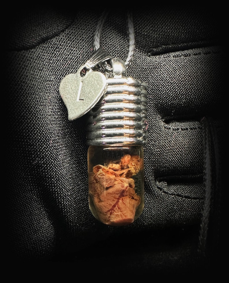 My Heart is Yours Pendant - Real rat heart in a glass vial - Oddity in a jar - Curiosity Love token gift Witchcraft supply Young witch gift image 3