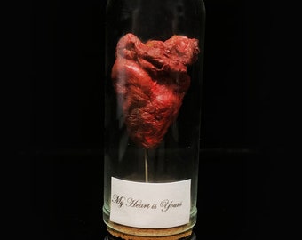Bloody Mummified Heart in a Glass dome - Curiosity - Love token - Steampunk décor - Cruelty free - Oddity Taxidermy Mummy