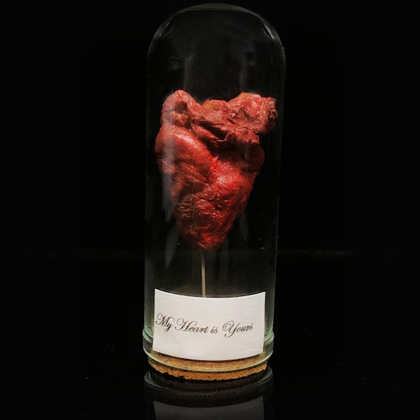 Bloody Mummified Heart in a Glass dome - Curiosity - Love token - Steampunk décor - Cruelty free - Oddity Taxidermy Mummy