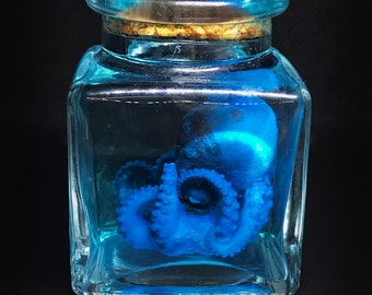 Cute BLUE baby octopus in a jar - Rare! Curiosity - Steampunk décor -Unique gift-  Cruelty free - Oddity- Wet specimen