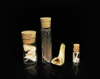 Curated Oddities and Curiosities Gift box,  Miniature  vials set, curio cabinet,  vulture culture, altar decor, naturalist gift