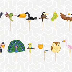 Bird Types Cupcake Toppers or Stickers