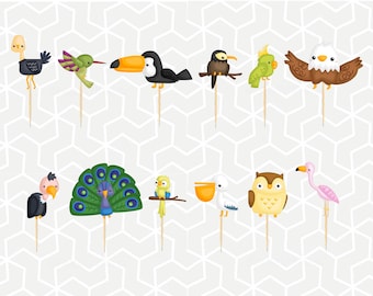 Bird Types Cupcake Toppers or Stickers