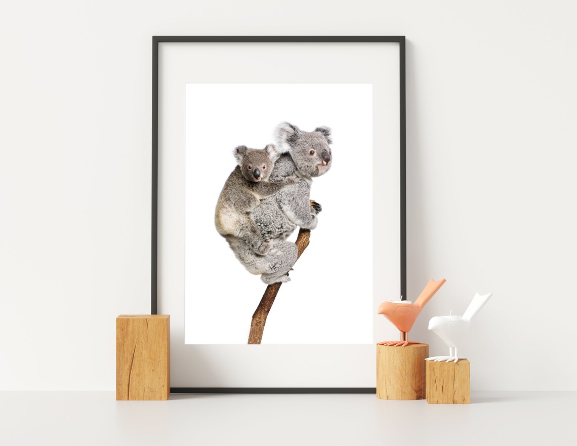 Baby Koala Wall Art Printable Etsy