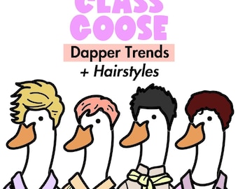 Classroom Goose - Cute Classroom Decor - Class Mascot - Porch Goose Outfits - Classroom Decor for Back to School - Porch Goose Hair