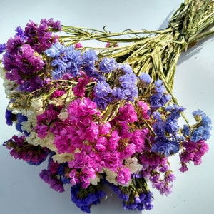 May include: A bunch of dried flowers in shades of purple, pink, blue, and white. The flowers have dried green stems and are tied together. The arrangement offers a natural, rustic aesthetic, suitable for home decor or crafting.