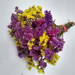 May include: A bouquet of dried statice flowers featuring a vibrant mix of bright yellow, deep purple, and magenta blossoms. The stems are gathered together and secured with a thin, bright red rubber band at the base of the flower arrangement.