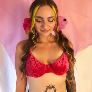 Hot Pink Velvet Bra