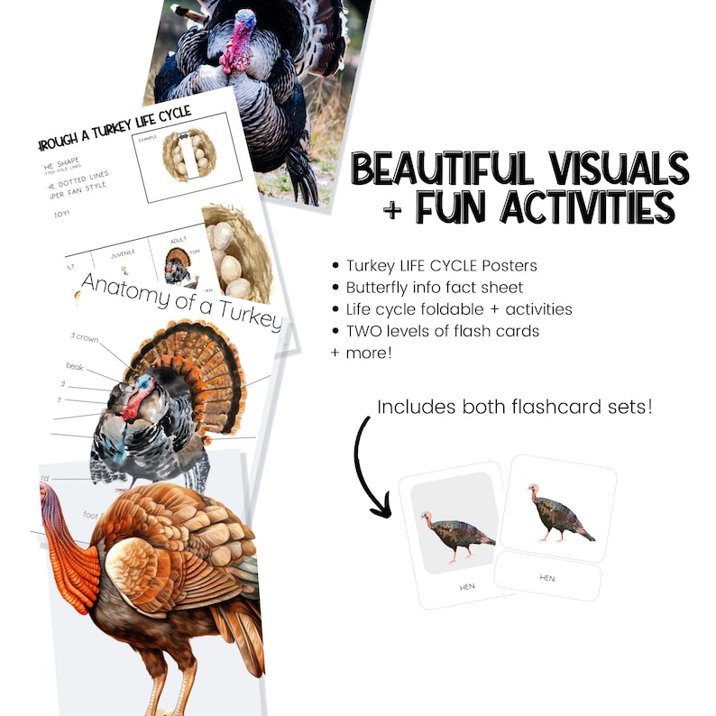 Turkey Life Cycle Science Unit Study Turkeys Printable Etsy