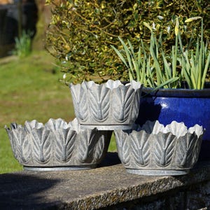 Vasos de pecíolo de metal galvanizado | grande vaso de flores para jardim ao ar livre em zinco