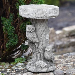 May include: A grey concrete bird bath with a tree trunk base and two owl sculptures. The bird bath has a round basin and a textured, weathered appearance. The owls are perched on the trunk, adding a decorative touch to the garden.